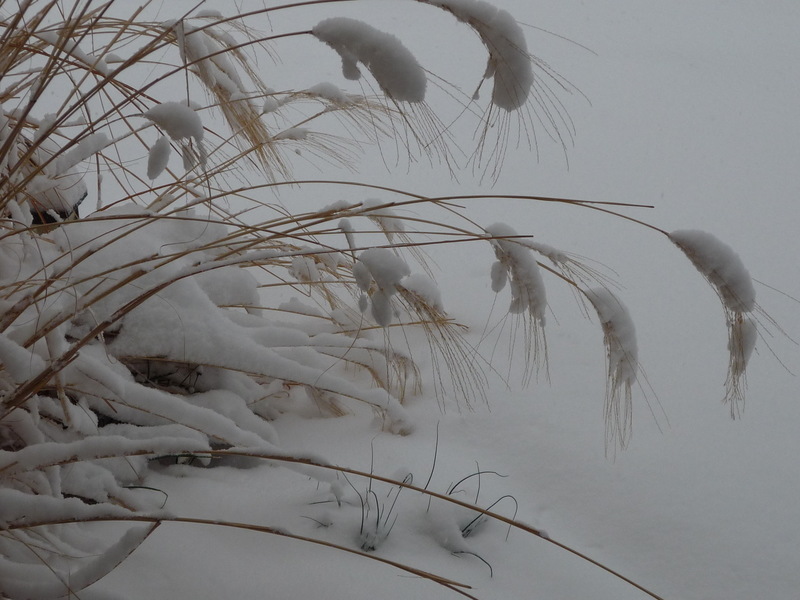 Frontenac, KS: 2010 March Snow