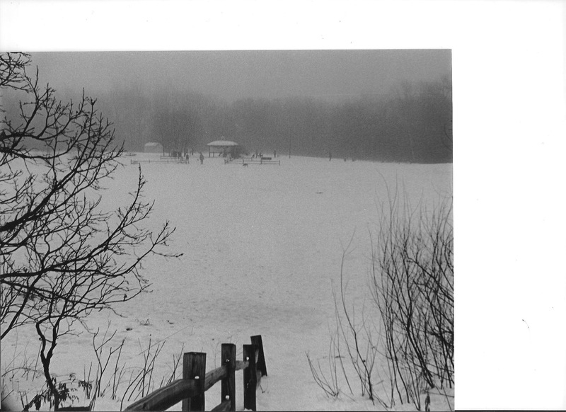 Burnsville, MN: Frozen pond, dog park and fog