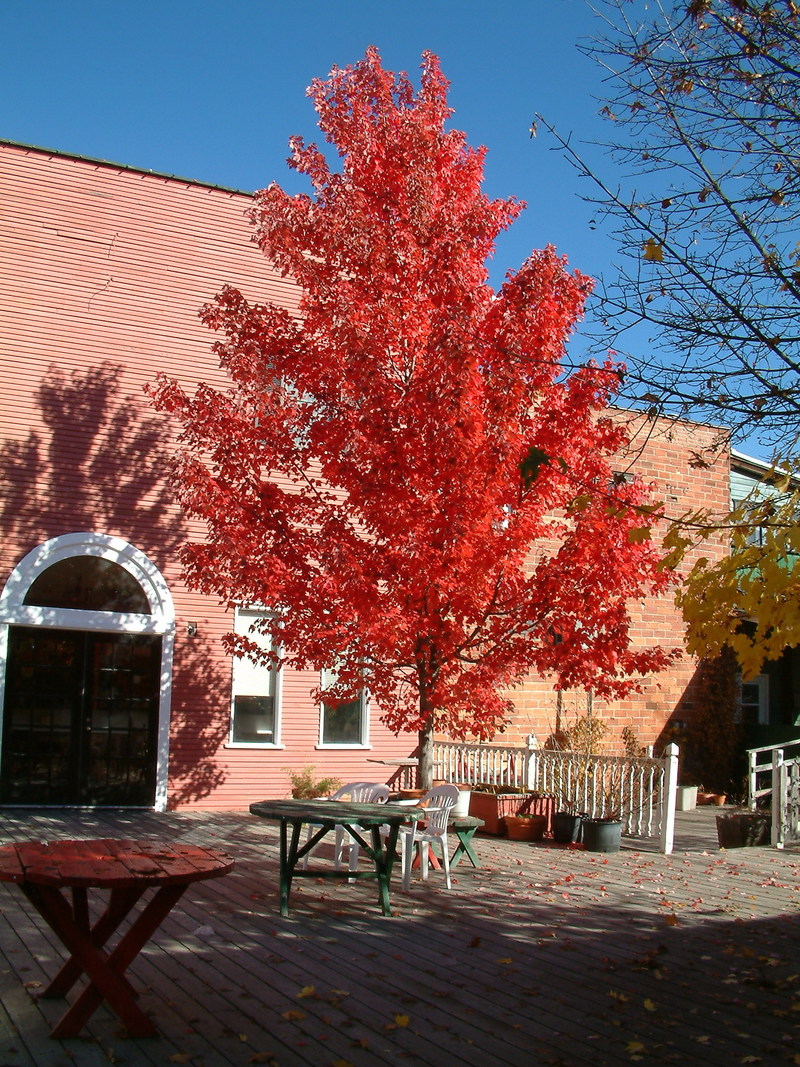 Priest River, ID Fall in Priest River photo, picture, image (Idaho