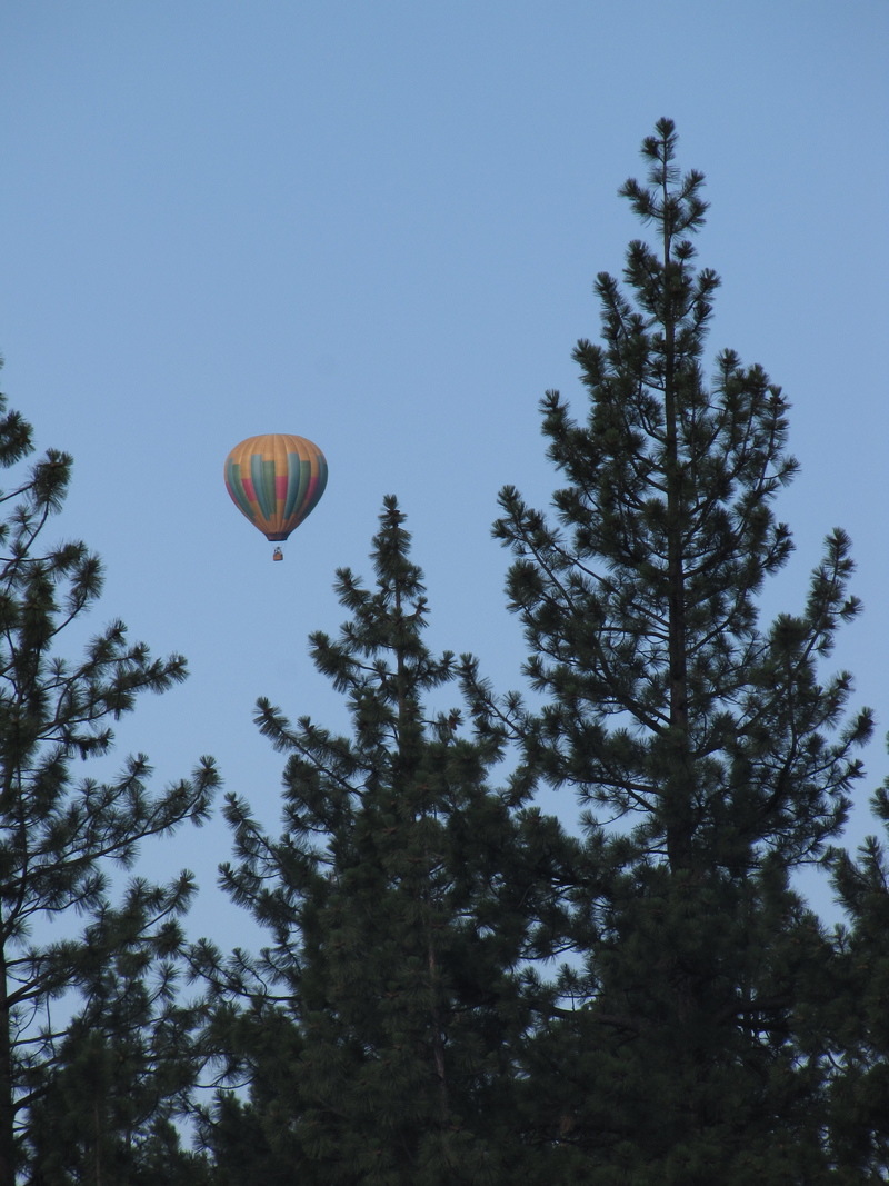 Truckee, CA: View from my backyard as a hot air balloon rises in the early morning