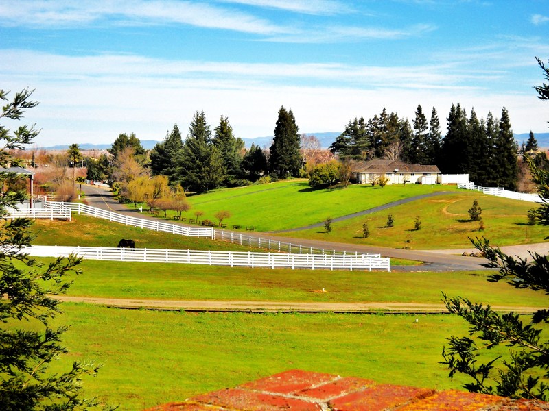 Oakdale, CA A Beautiful Day in North Oaks photo, picture, image