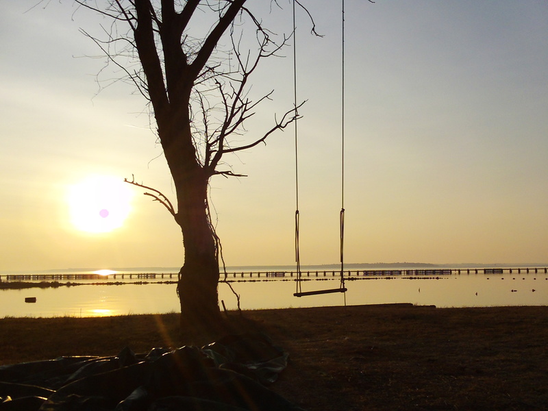 Belhaven, NC Belhaven Sunrise on the Pungo River photo, picture