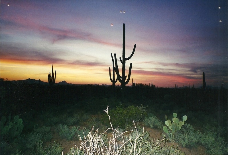 Tucson, AZ: N-W during a beautiful sunset, on Picture Rock road (Saguaro Nat'l Monument West)
