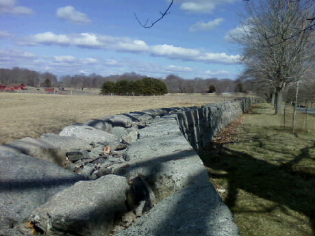 Waterford, CT: Stone wall on daffodil Lane, Harkness State Park