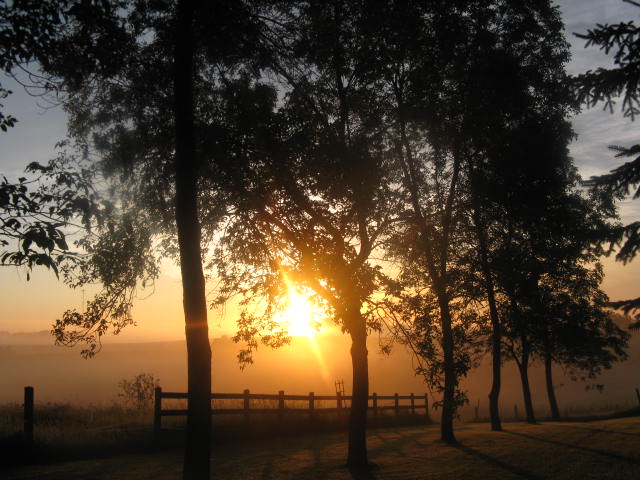 Tyler, MN: Morning Sunrise in Tyler (Taken in my back yard.)