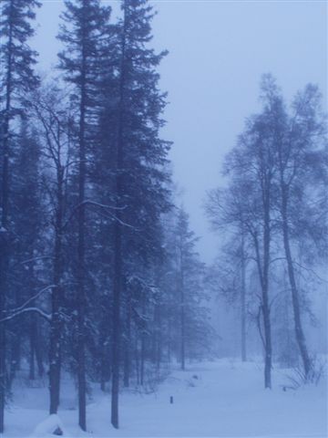 Kenai, AK: Winter