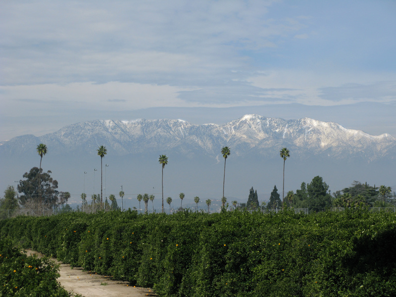 Riverside, CA : april in riverside photo, picture, image (California ...