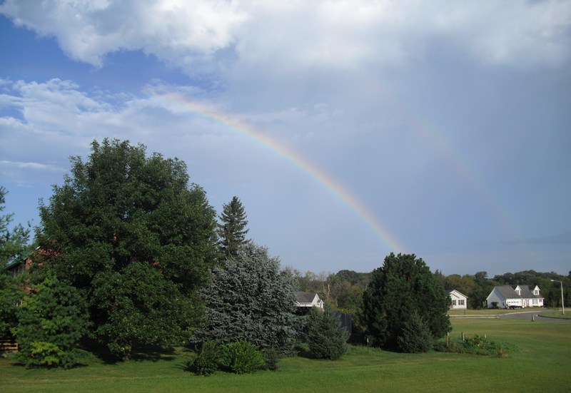 Forest City, IA: Rainbow over Forest City