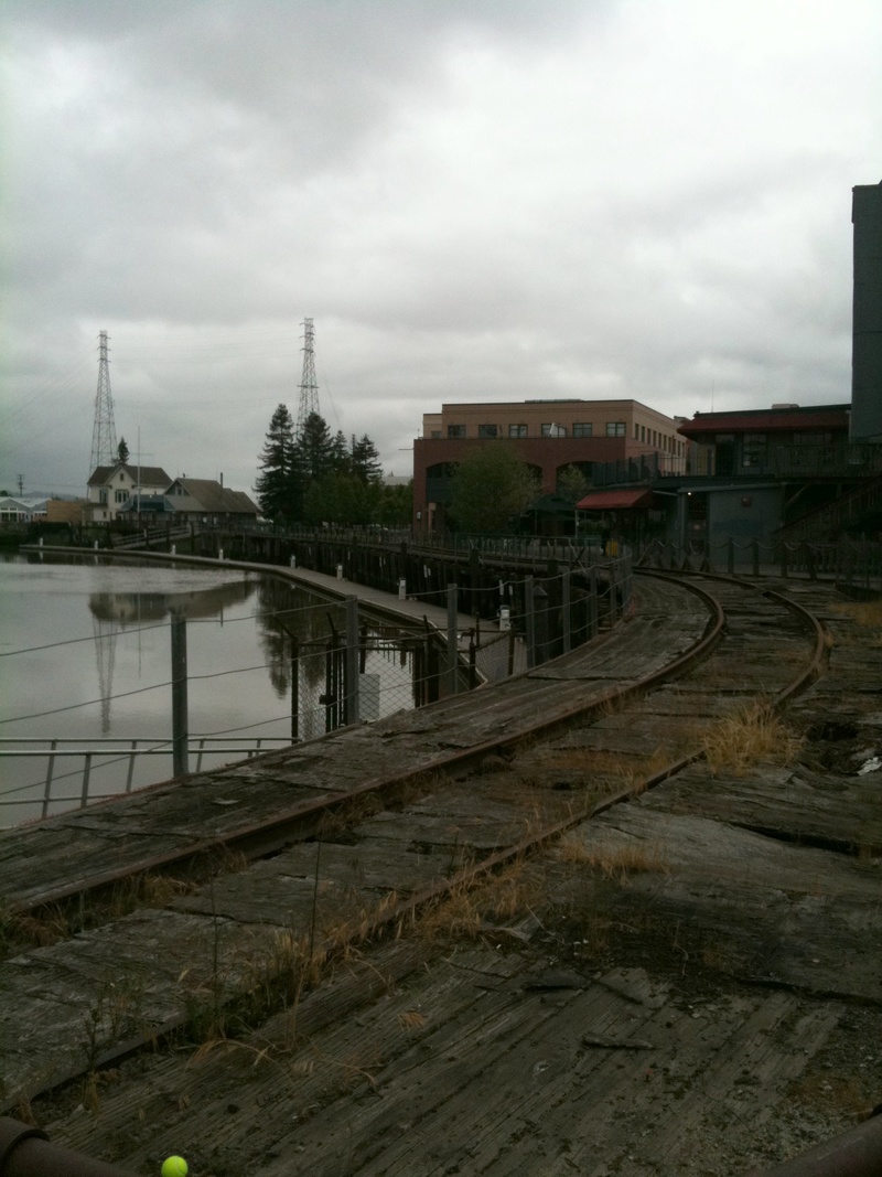 Petaluma, CA: Petaluma River Edge by tracks