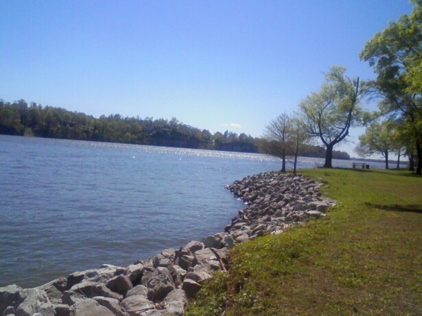Florence, AL: Banks of the Tennessee River at McFarland Park