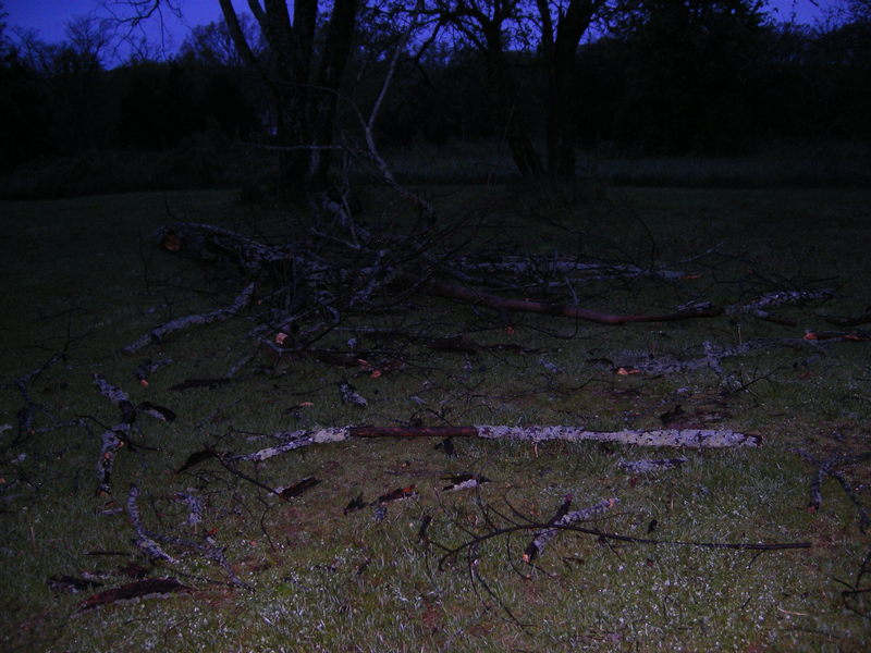 Willow Springs, MO: Hail storm last Wed evening and fallen tree in back yard.