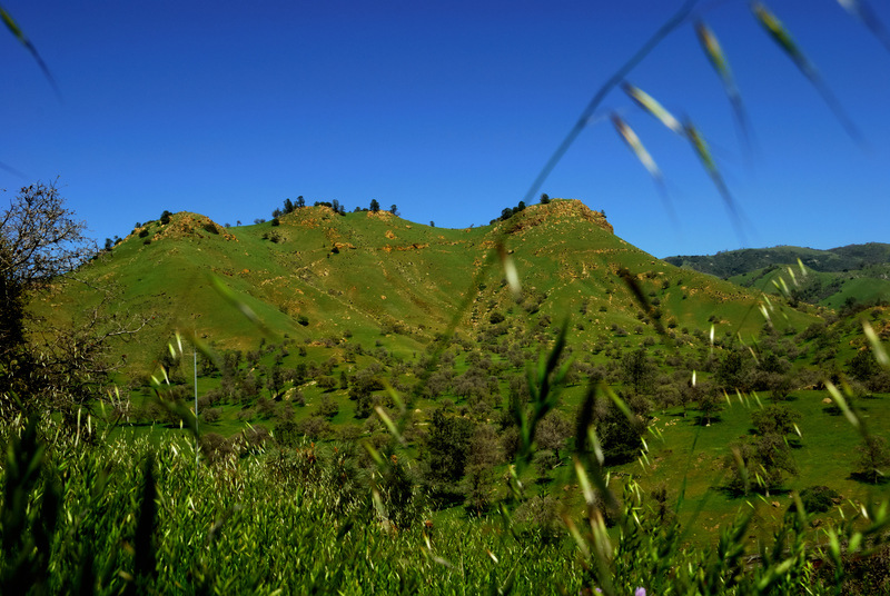 Keene, CA: Three Peaks Mountain right behind the city of Keene