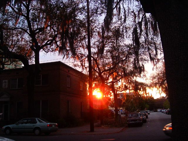 Savannah, GA: sunset