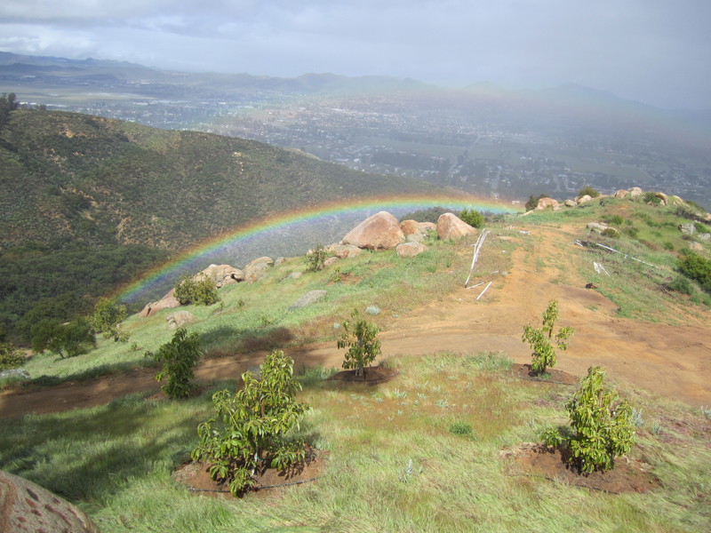 Wildomar, CA: Rainbow's