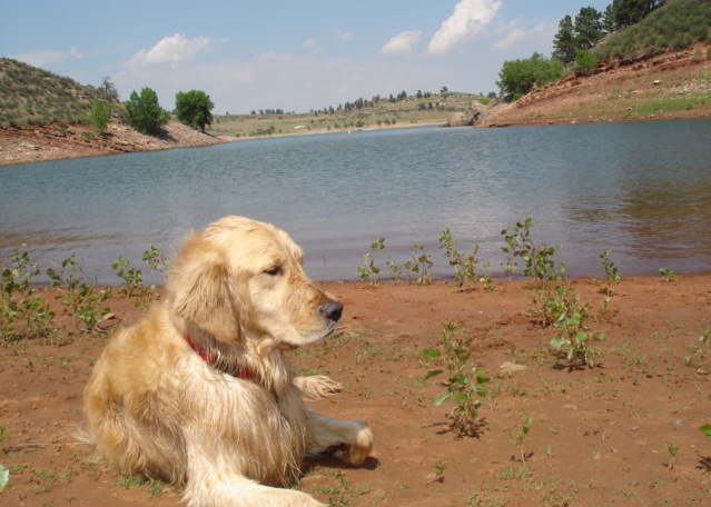 Fort Collins, CO: Dog Days of Summer on Horsetooth