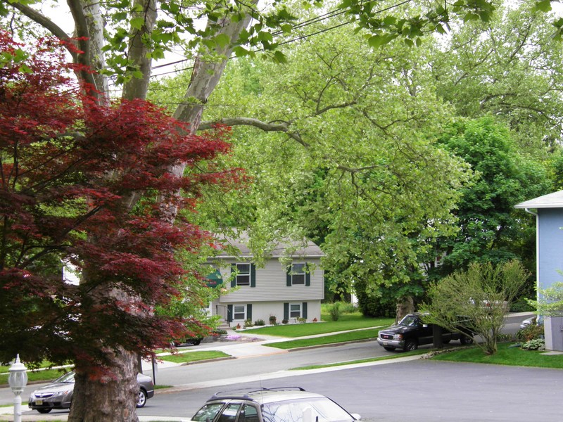 Phillipsburg, NJ all pictures taken around my house /valley view in