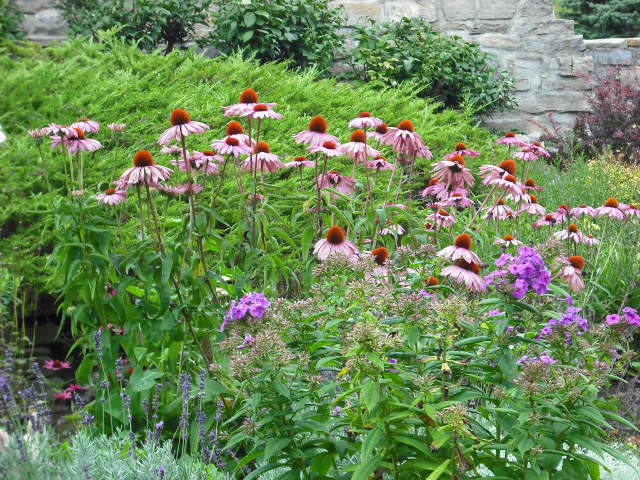 Mio, MI: flowers at the shrineof lady in the woods