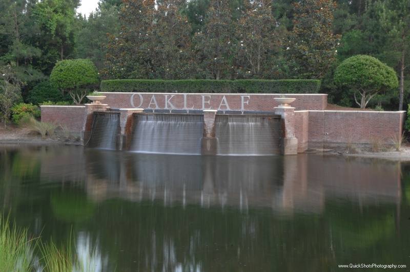 Middleburg, FL: oakleaf