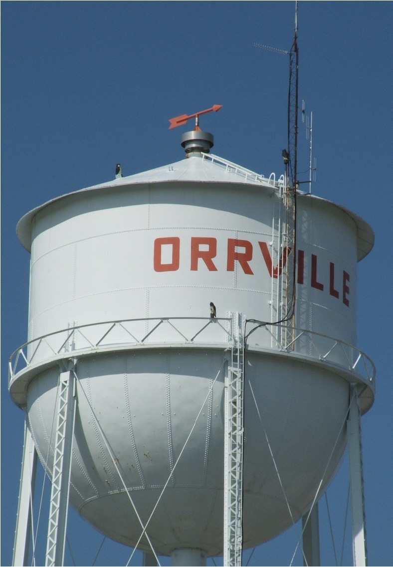Orrville, OH: The water Tower