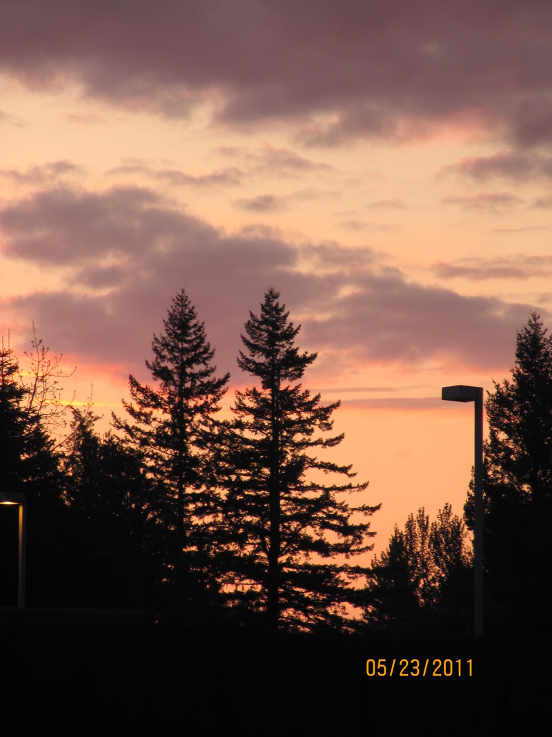 North Bend, WA: north bend sunset