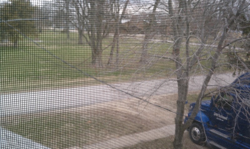 Troy Grove, IL: shot of Will Bill's park from master bedroom