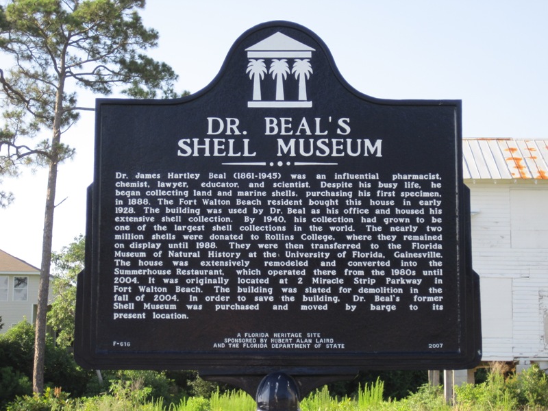 Mary Esther, FL: Dr Beal's Shell Museum - Florosa FL US98 west of Mary Esther