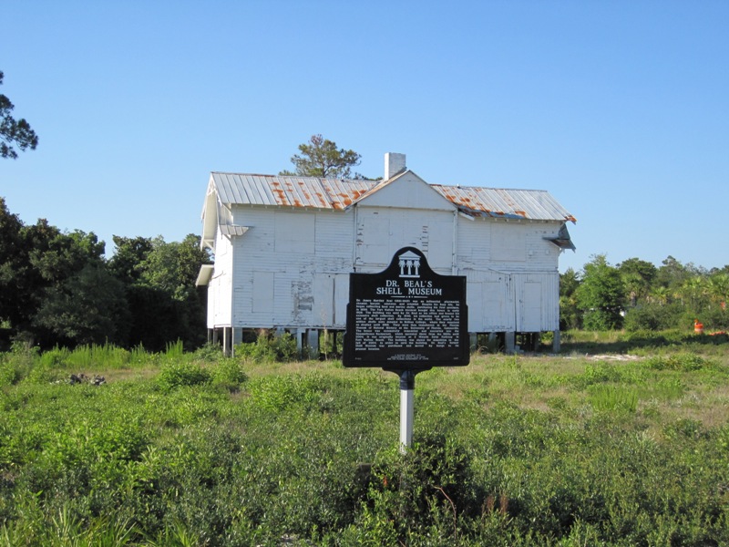 Mary Esther, FL: Dr Beal's Shell Museum - Florosa FL US98 west of Mary Esther