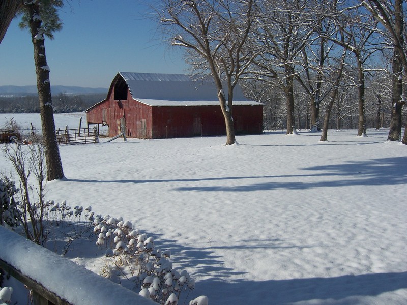 Gassville, AR snow barn photo, picture, image (Arkansas) at