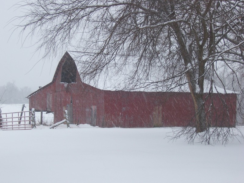Gassville, AR: winter barn
