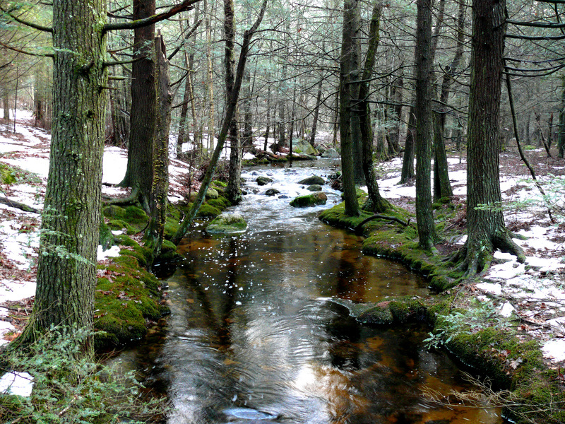 Voluntown, CT: Bliven Brook