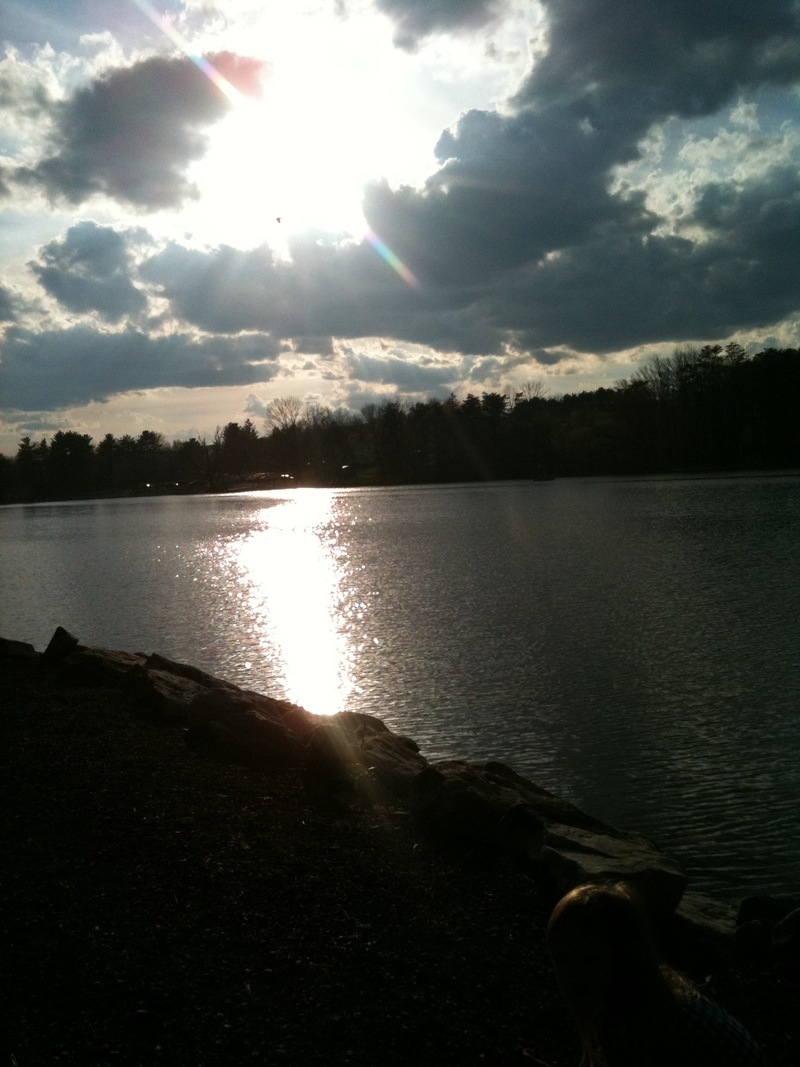 Pine Grove, PA: Sweet Arrow Lake