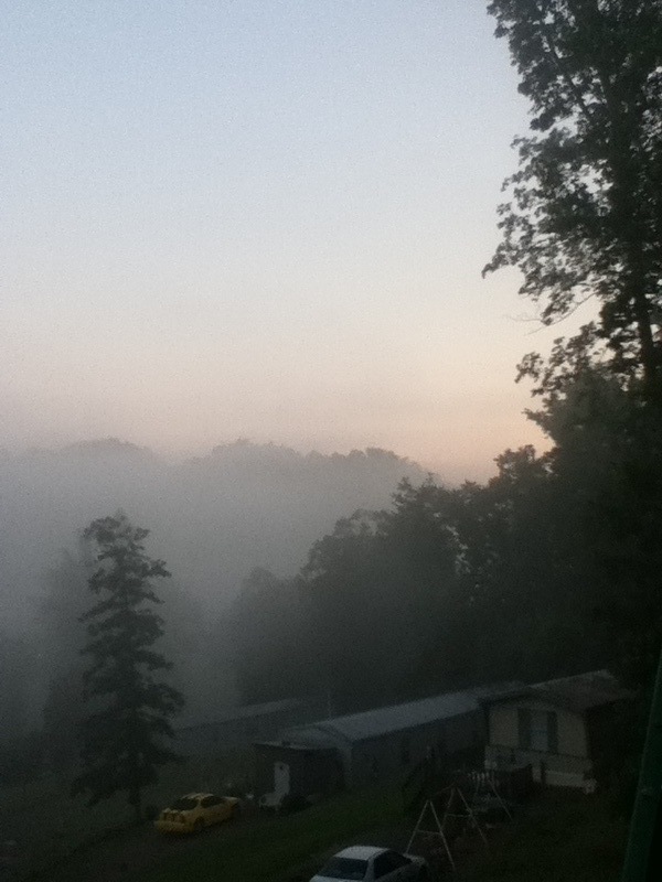 Blountville, TN: Morning view from my porch