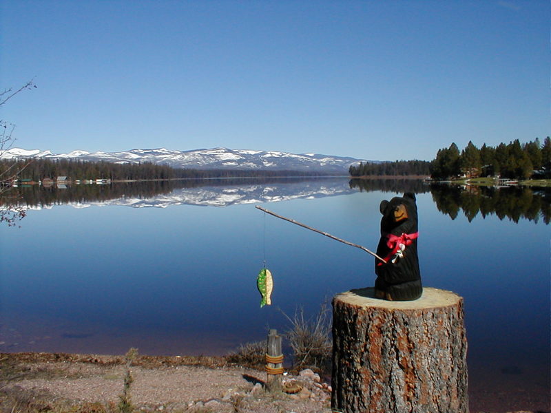 Seeley Lake, MT: A spring morning in Seeley Lake - south shore