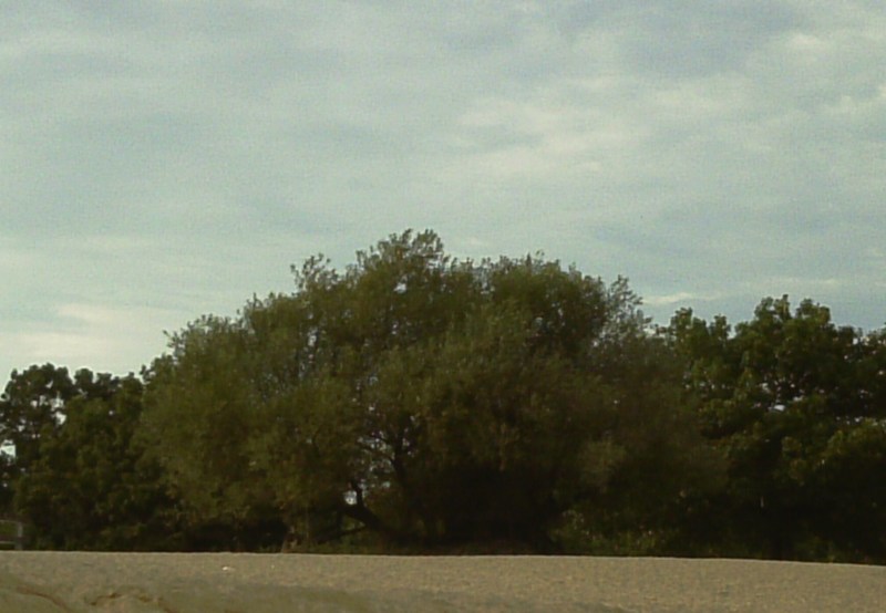 Zion, IL: Zion, Illinois beach.