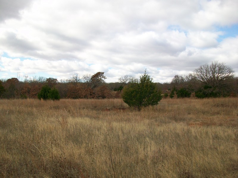 Tribbey, OK: I live in Tribbey, OK and this is a picture of our 22 acres