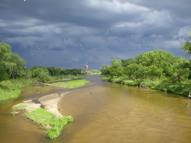 Neligh, NE: Elhorn River by Nelign, Nebraska