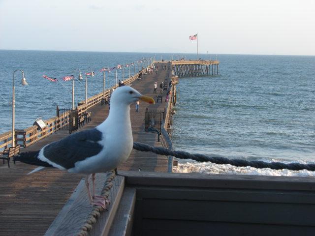 Ventura, CA: Ventura Pier