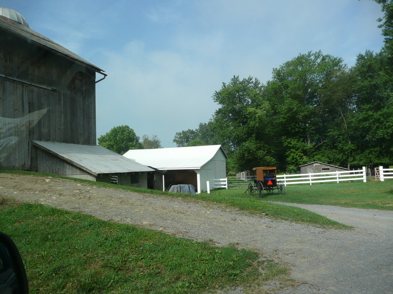 New Wilmington, PA: Typical Amish countryside