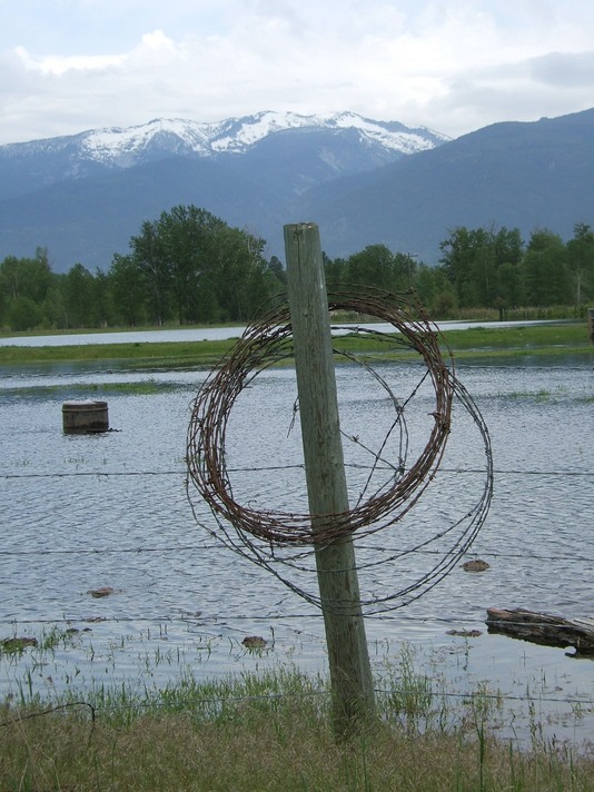 Victor, MT: after the spring rains in Victor