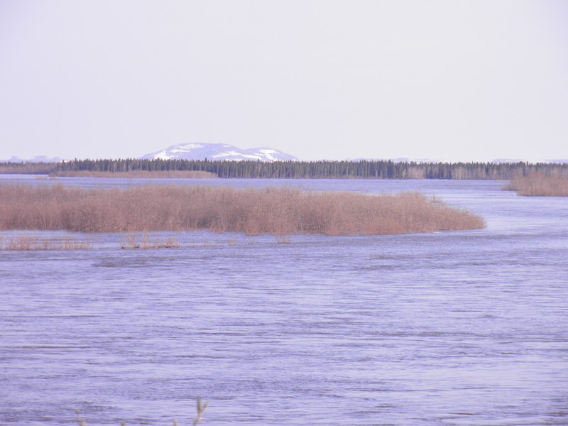 Noatak, AK: High Water during spring Thaw