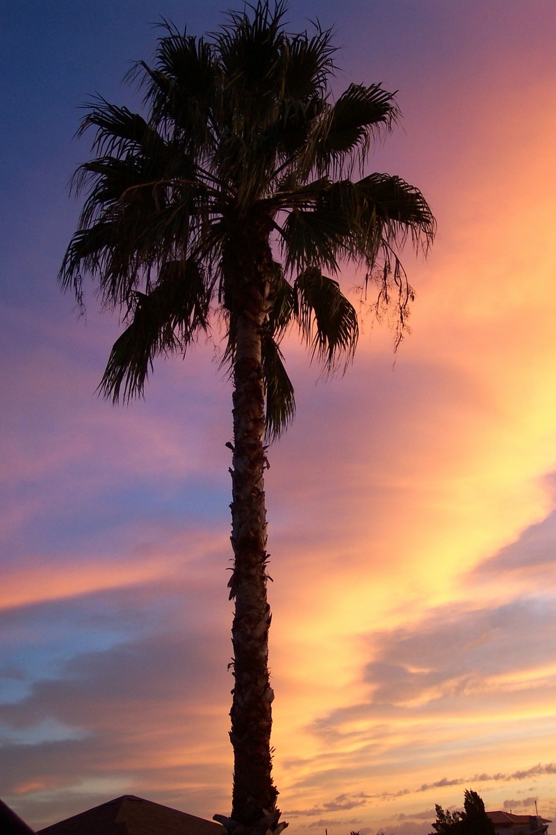 Hernando Beach, FL: Hernando Beach sunset