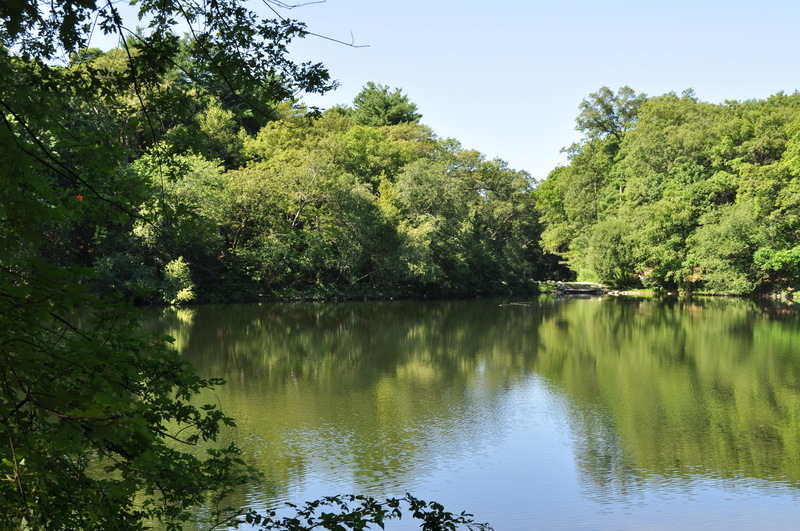 Arlington, MA: Hill's Pond at Menotomy Rocks Park