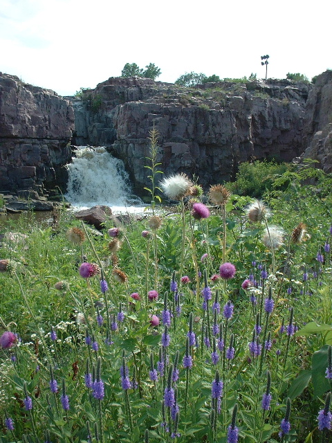 Sioux Falls, SD: Summer flowers by the falls