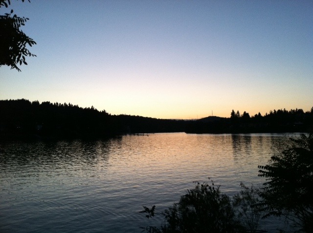 Milwaukie, OR: I took down by the river at sunset, and caught it perfectly.