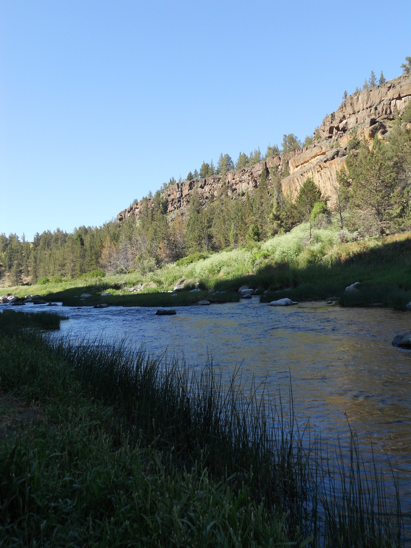 Terrebonne, OR : Smith Rock, Terrebonne, OR photo, picture, image ...