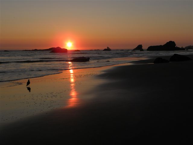 Brookings, OR: Harris Beach sunset
