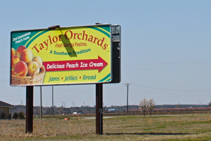 Reynolds, GA: Taylor Orchards