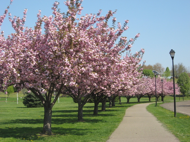 Belpre, OH: April in Civitan Park