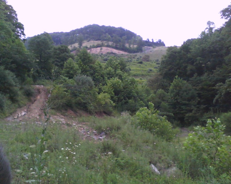 McRoberts, KY: McRoberts picture of the pond area at the end of Sheas Frk road.