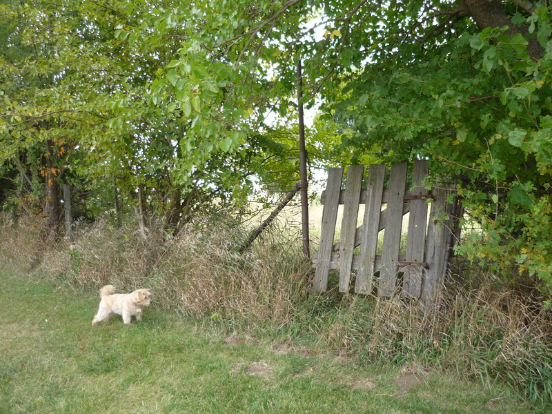 North Liberty, IA: Penn Meadows Park